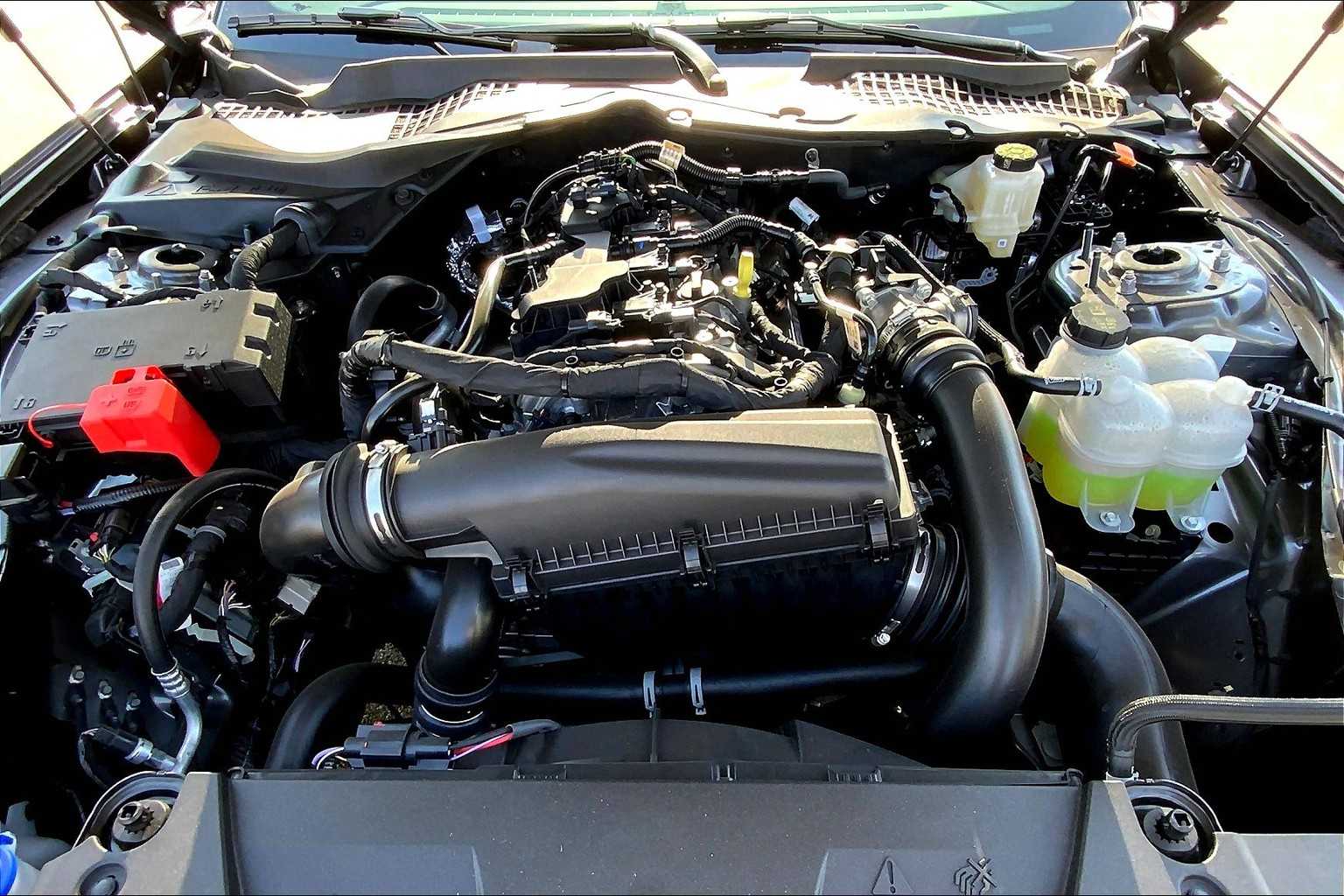 2025 Ford Mustang EcoBoost photo 13
