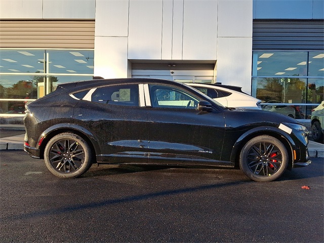 2025 Ford Mustang Mach-E Premium AWD's photo