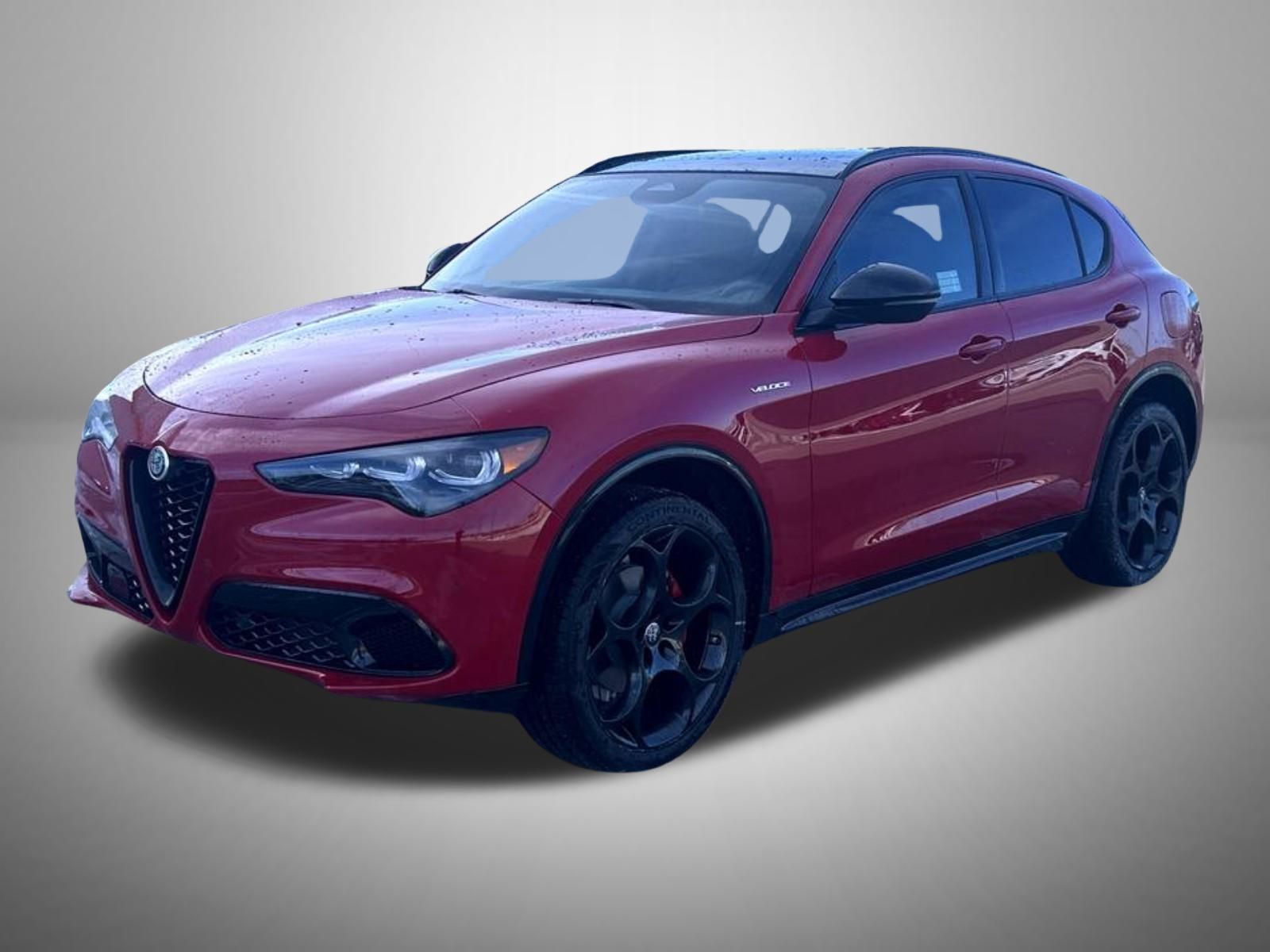 2025 Alfa Romeo Stelvio Base's photo
