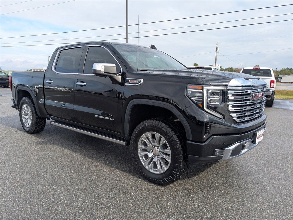 2024 Gmc Sierra 1500 Denali photo 2