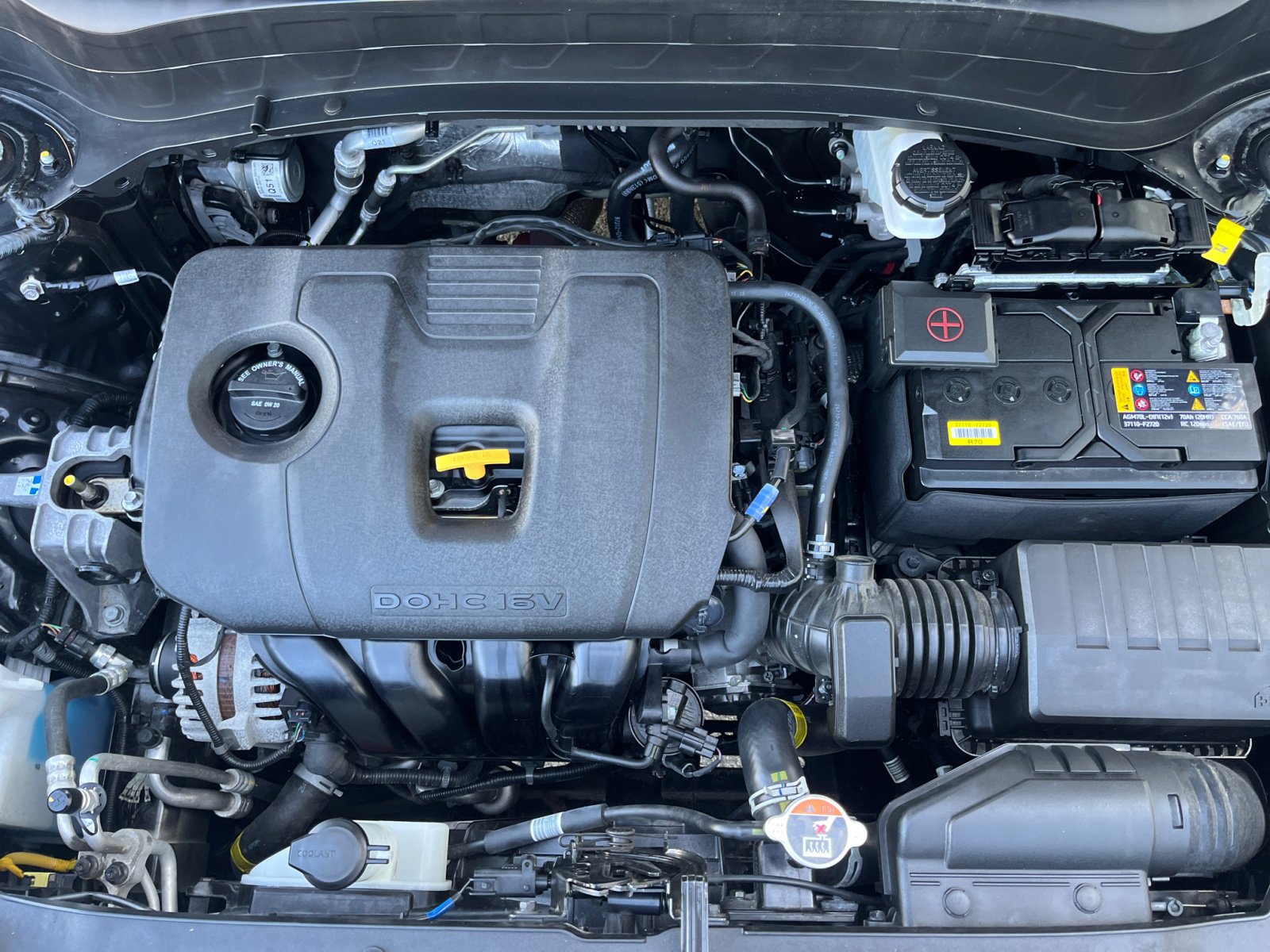 2024 Kia Seltos EX photo 6