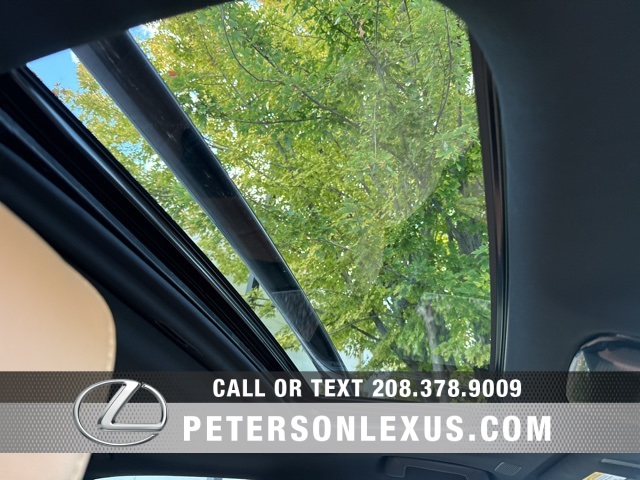 2024 Lexus RX 350h Premium photo 13