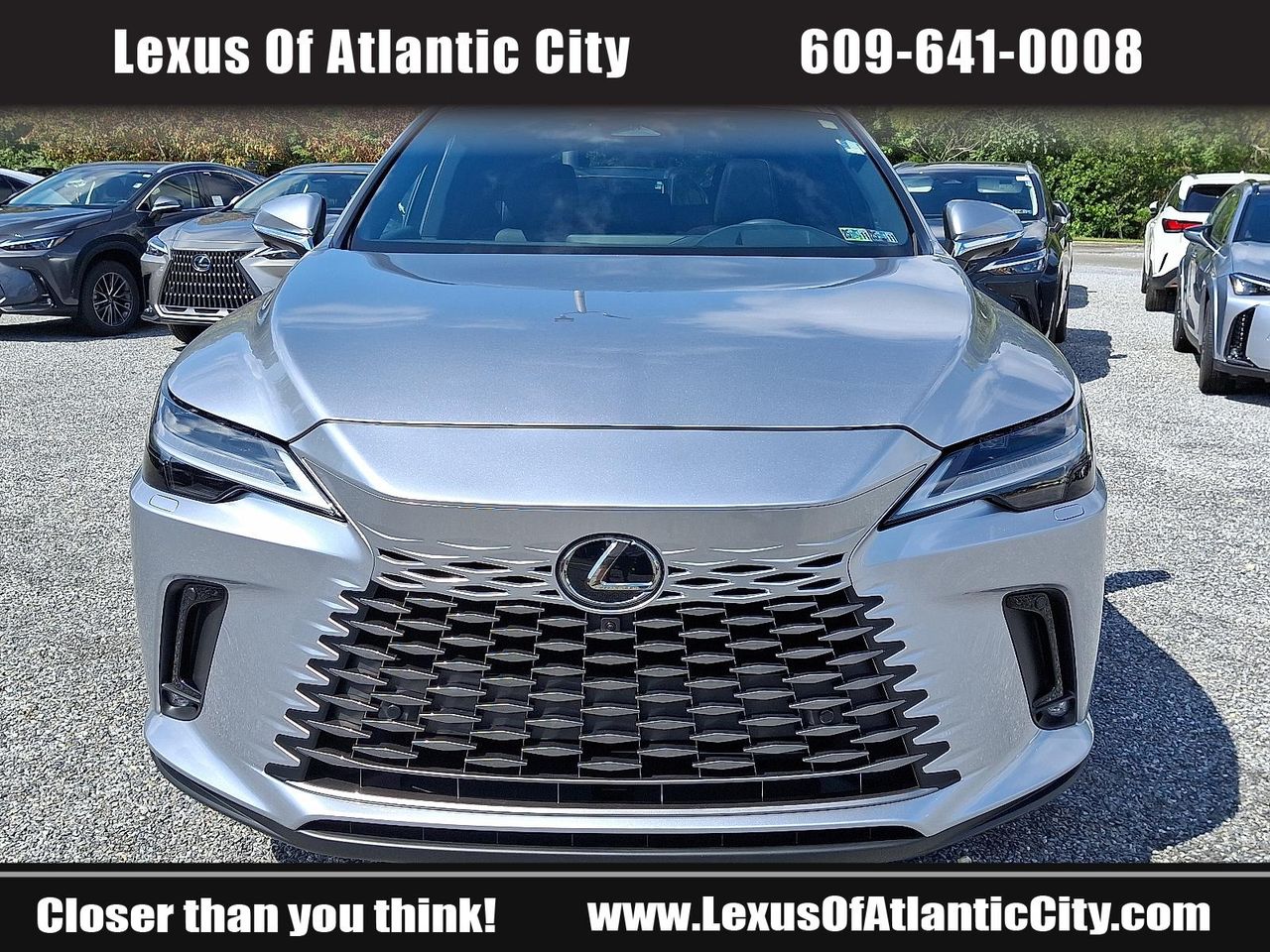 2024 Lexus RX 350 Luxury photo 2