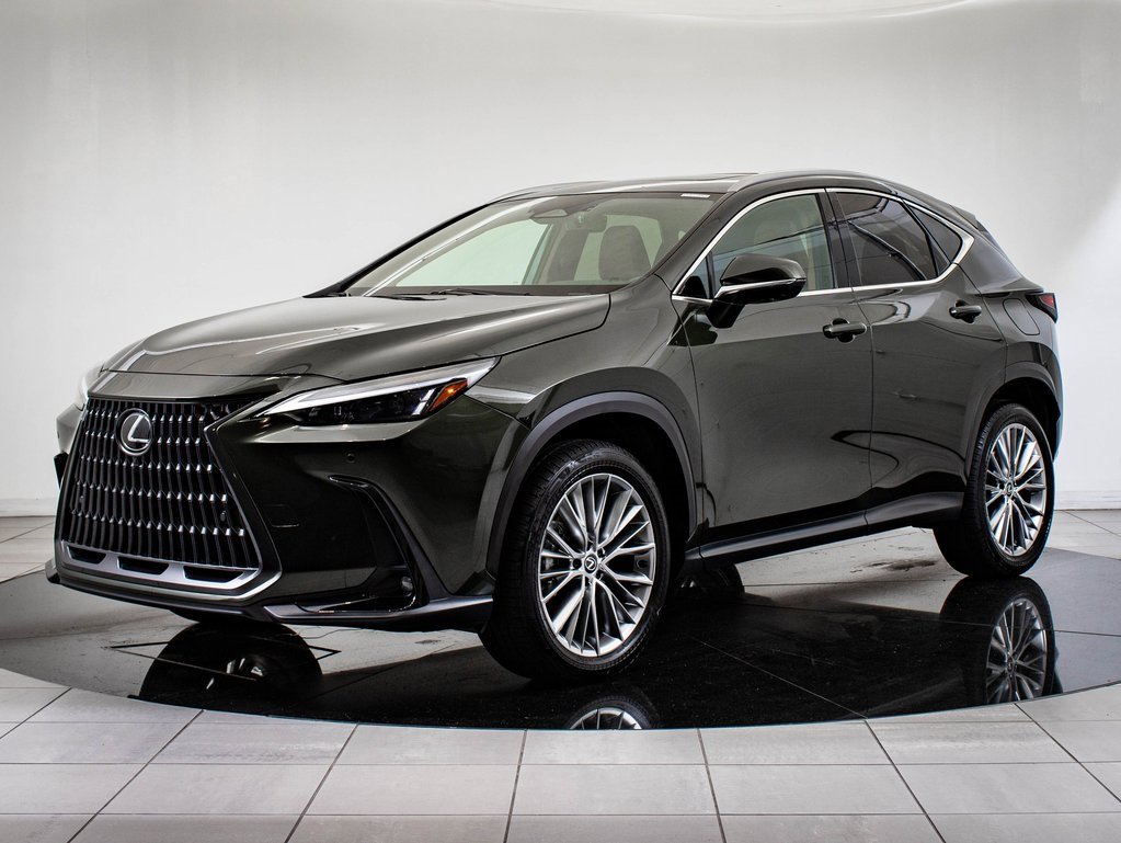 2025 Lexus NX Hybrid 350h's photo