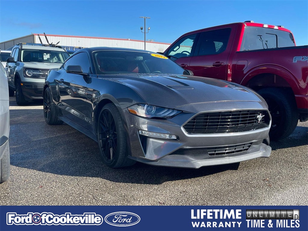 2019 Ford Mustang GT Premium's photo