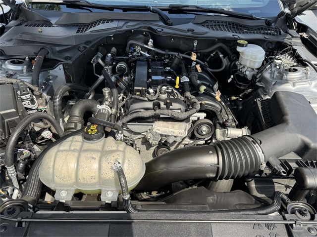 2022 Ford Mustang EcoBoost photo 13