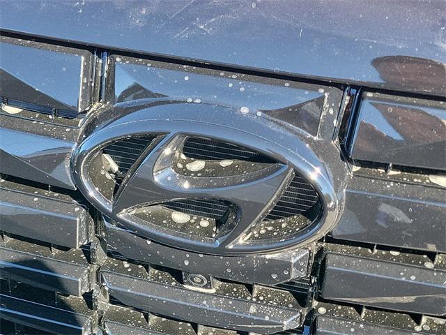 2025 Hyundai Palisade Calligraphy photo 4