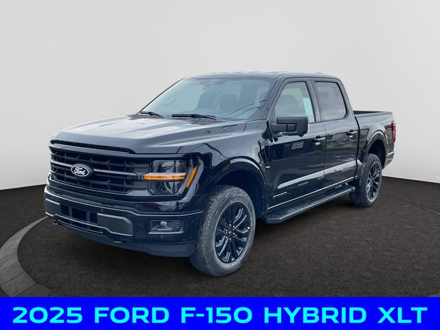 2025 Ford F-150 XLT's photo