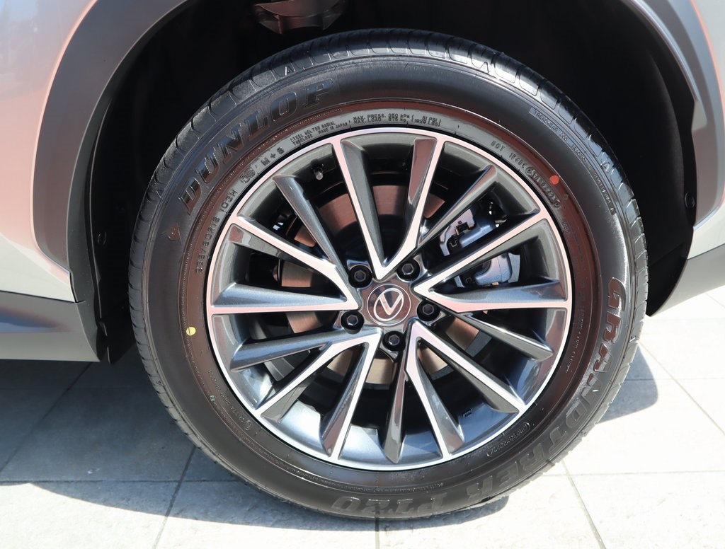 2025 Lexus NX 250 Premium photo 12