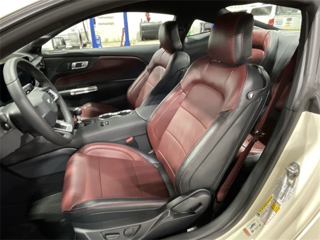 2025 Ford Mustang GT Premium photo 17