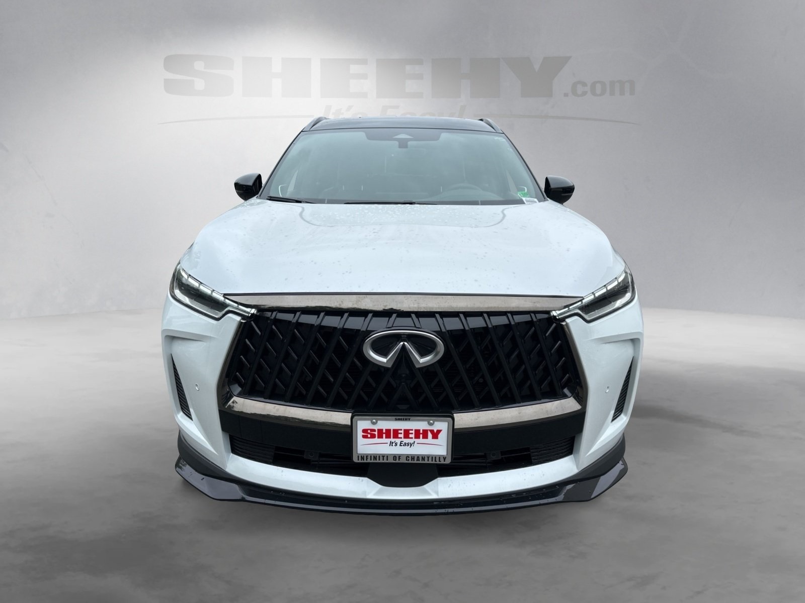 2026 Infiniti QX60 AWD photo 2