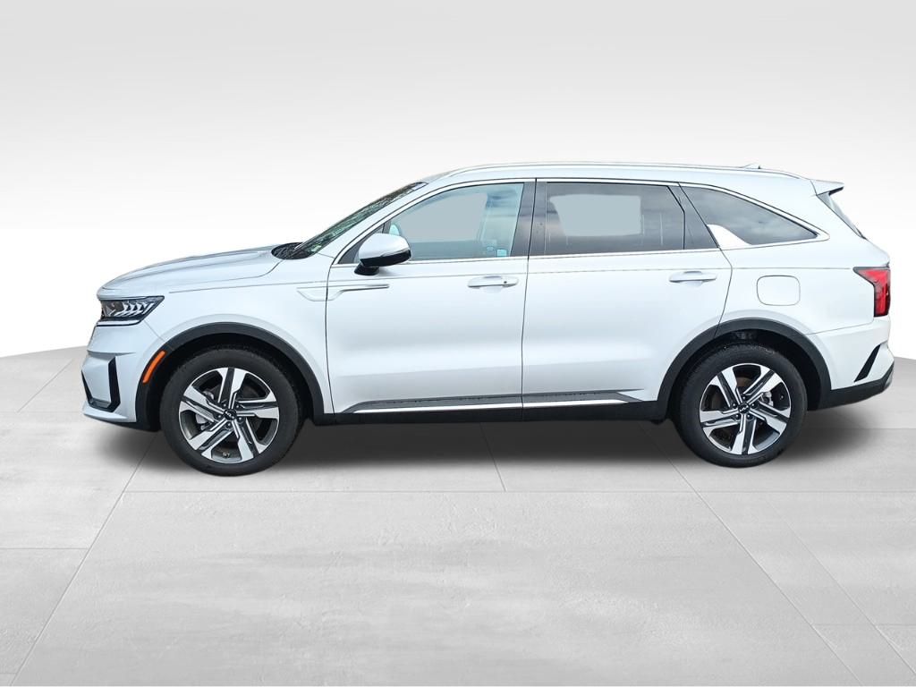 2023 Kia Sorento Hybrid EX photo 2
