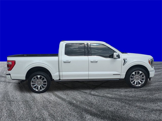 2023 Ford F-150 Limited photo 3