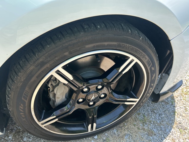 2019 Ford Mustang GT Premium photo 11