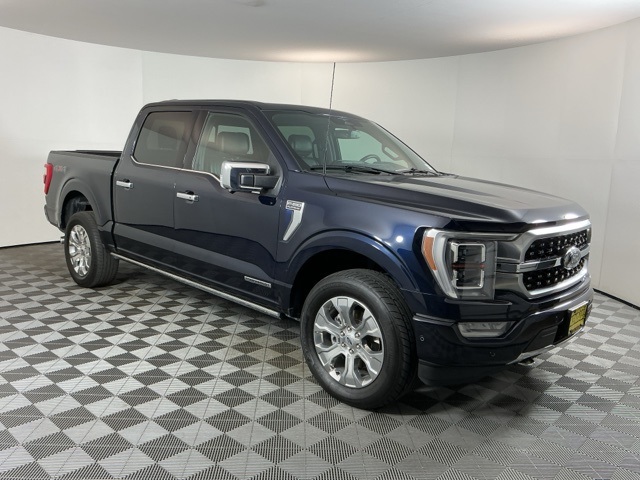 2023 Ford F-150 Platinum photo 3