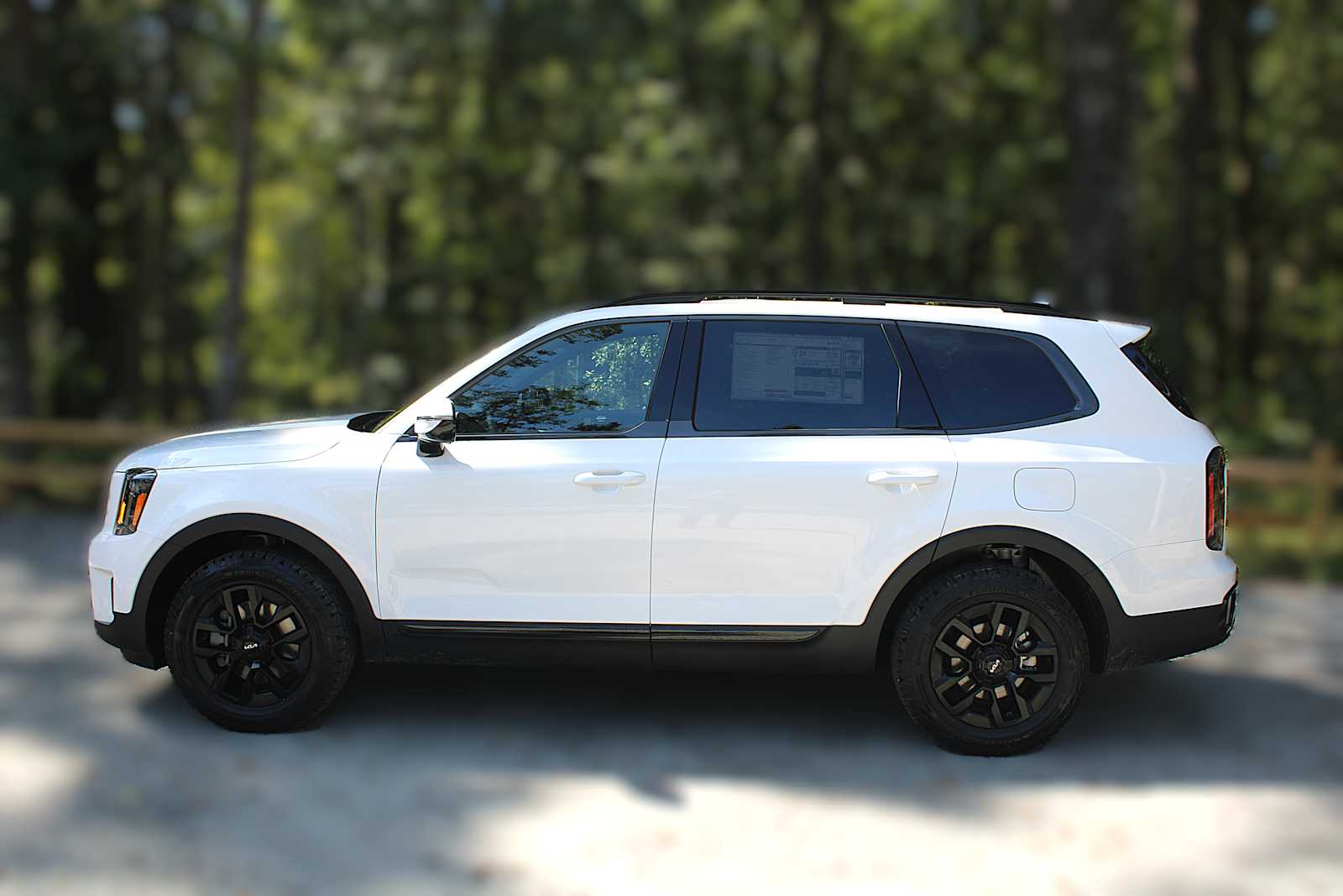 2025 Kia Telluride SX X-Line photo 4