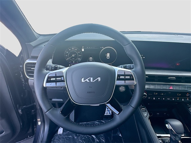 2025 Kia Telluride SX Prestige X-Line photo 10