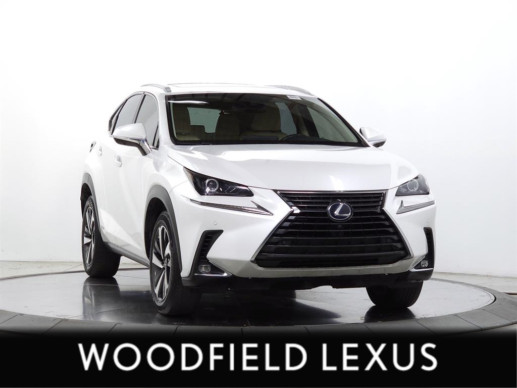 2020 Lexus NX Hybrid 300h's photo