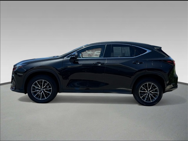 2024 Lexus NX 350h Premium photo 3