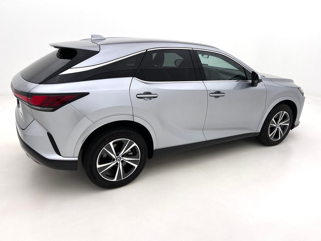 2024 Lexus RX 350 Premium photo 6