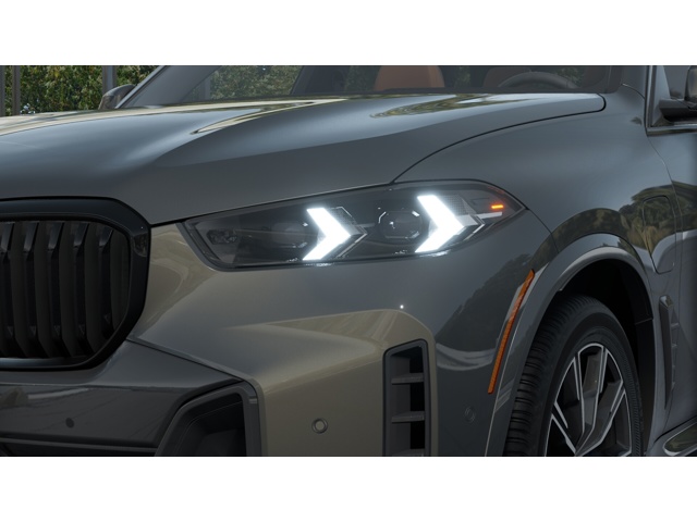 2026 Bmw X5 xDrive50e photo 6