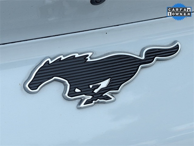 2021 Ford Mustang Mach-E Select photo 10