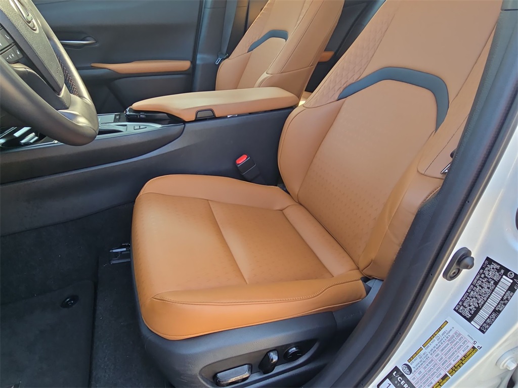 2022 Lexus UX 250h photo 17