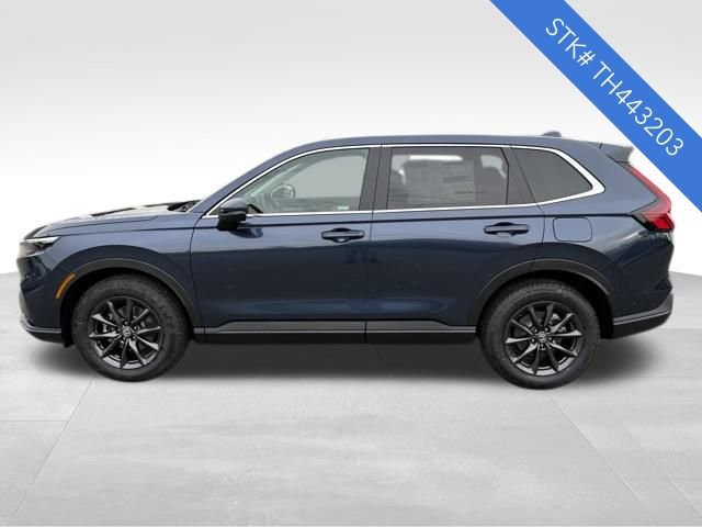 2026 Honda CR-V EX-L photo 3