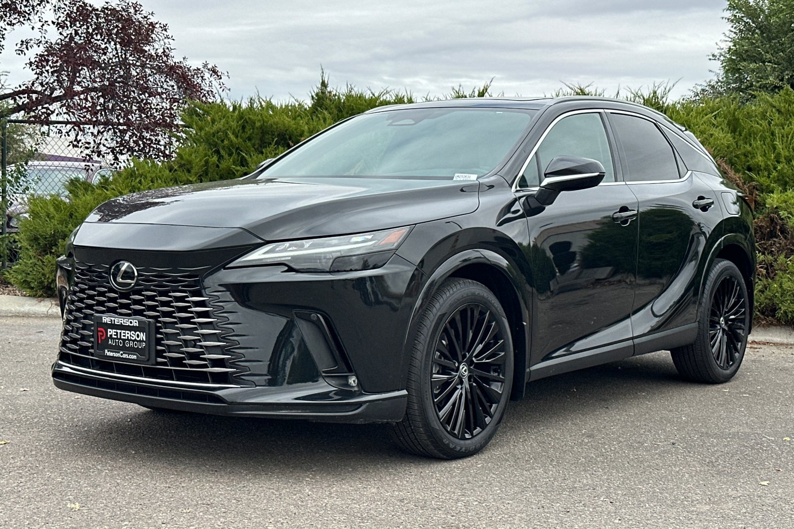 2023 Lexus RX 350h Premium AWD photo 6
