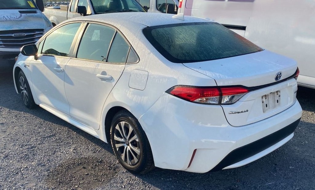 2020 Toyota Corolla Hybrid LE photo 3