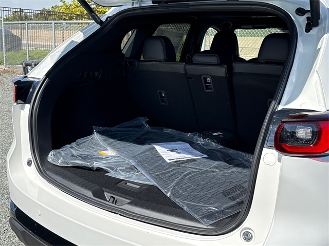 2025 Mazda CX-5 2.5 Turbo Premium photo 12