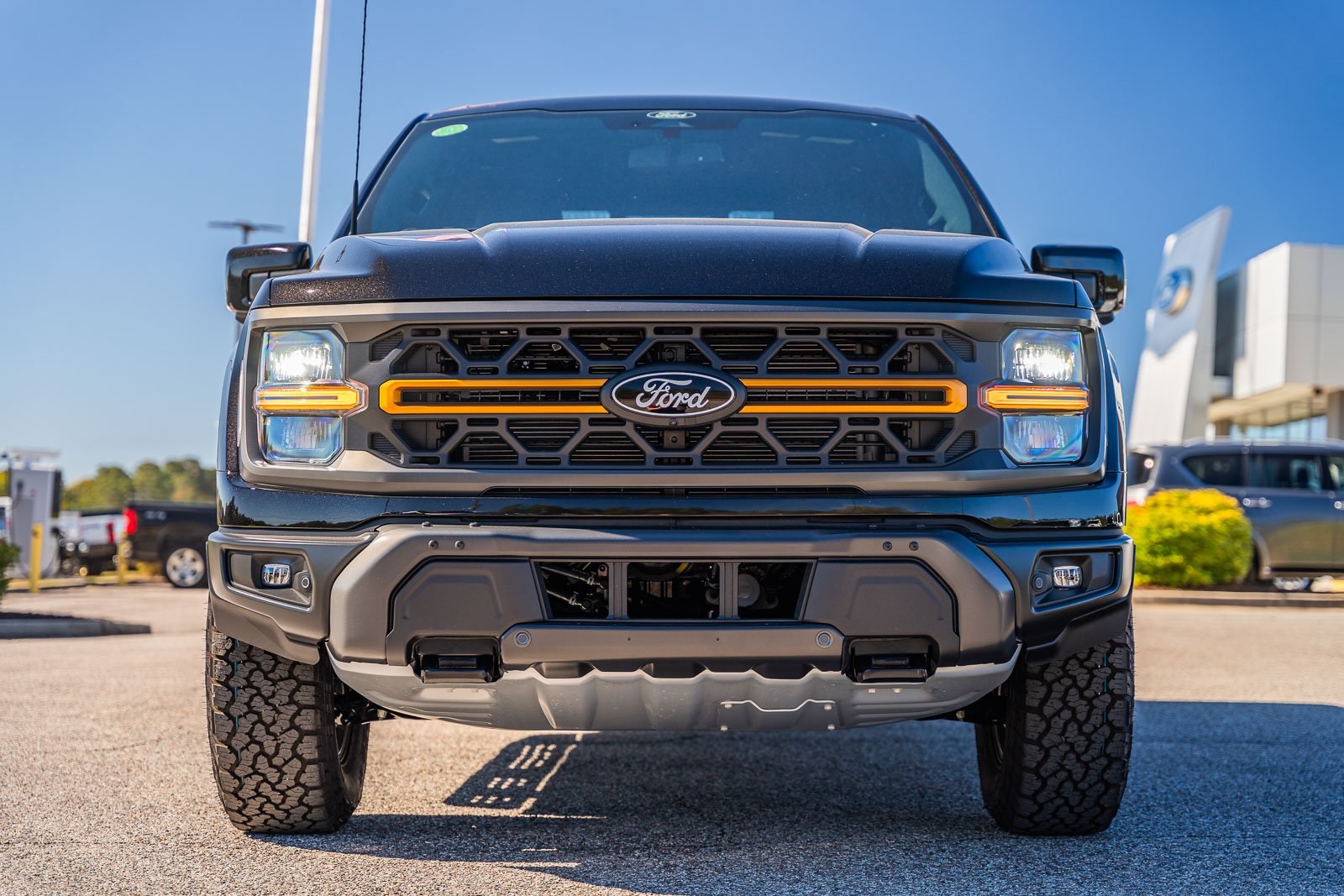 2025 Ford F-150 Tremor photo 2