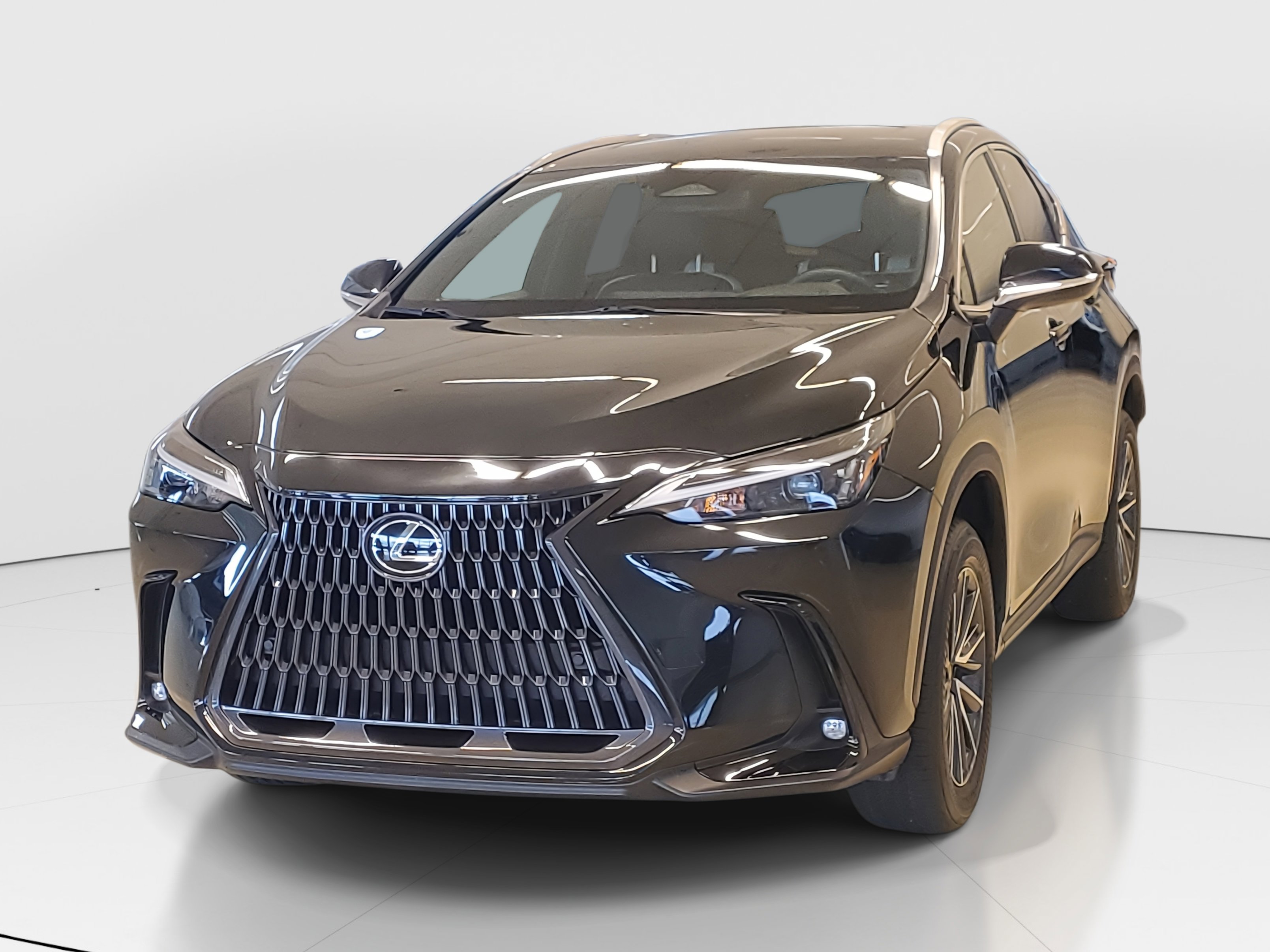 2023 Lexus NX 250 Premium photo 3