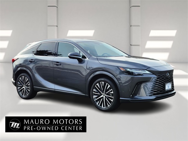 2024 Lexus RX Hybrid 350h's photo