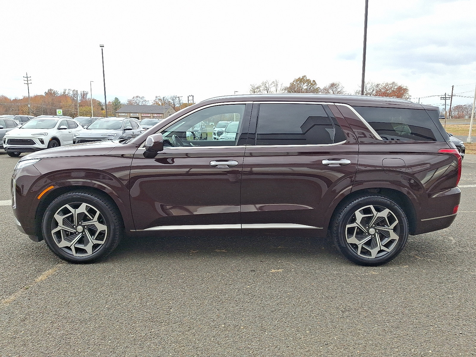 2022 Hyundai Palisade Calligraphy photo 2