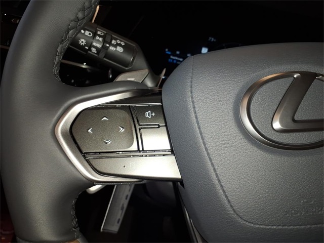2025 Lexus RX 350 Premium photo 13
