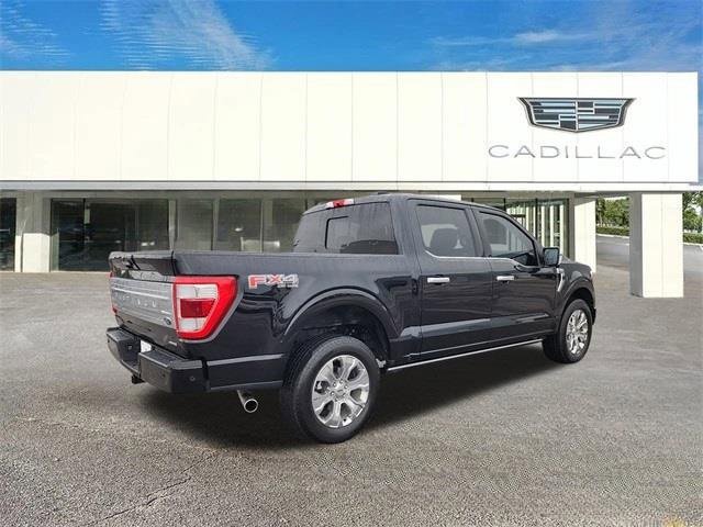 2023 Ford F-150 Platinum photo 4