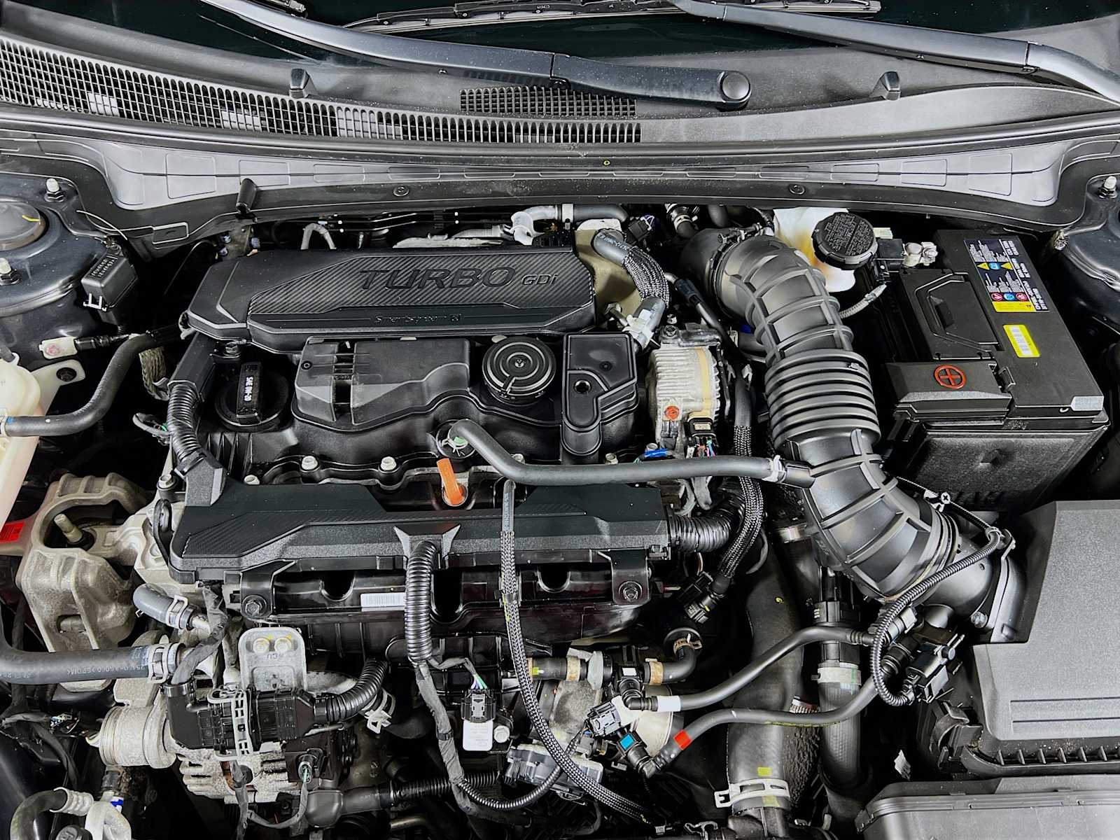 2023 Hyundai Elantra N Line photo 26