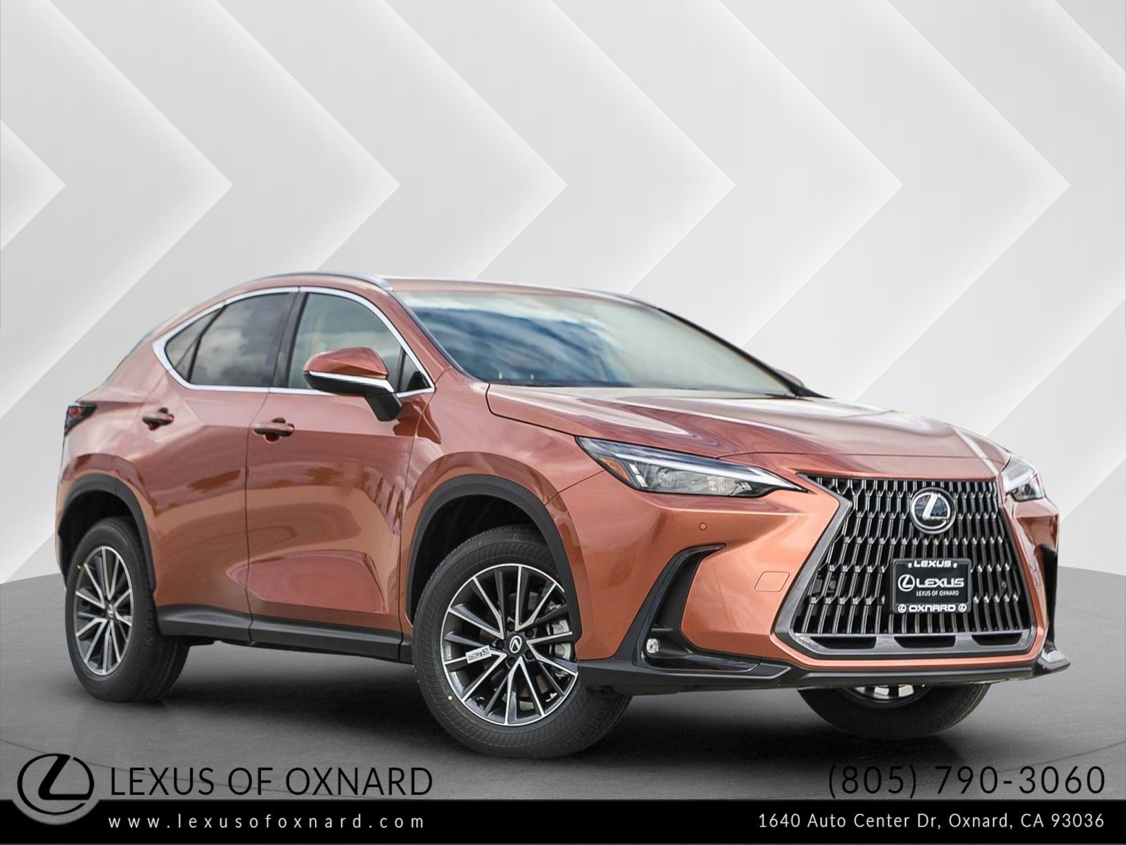 2026 Lexus NX 350's photo