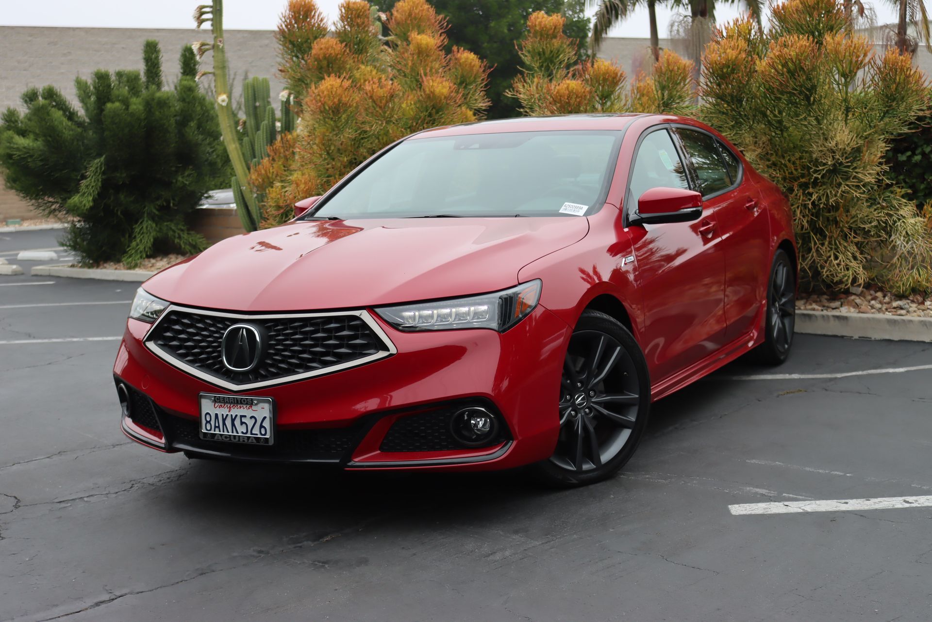 2018 Acura TLX Technology & A-SPEC Packages's photo