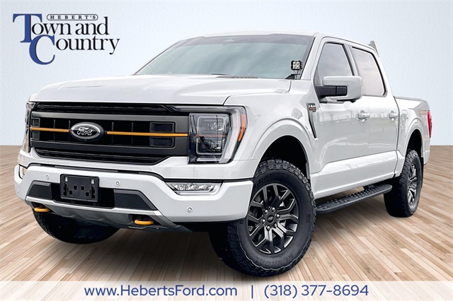 2023 Ford F-150 Tremor's photo