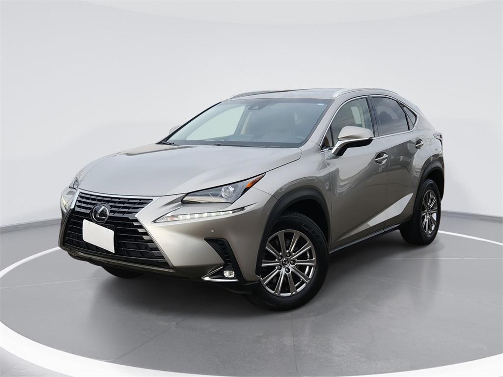 2018 Lexus NX 300's photo