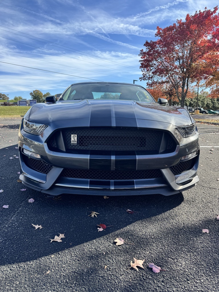 2020 Ford Mustang Shelby GT350 photo 3