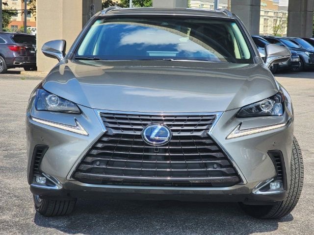 2019 Lexus NX 300h Luxury photo 2