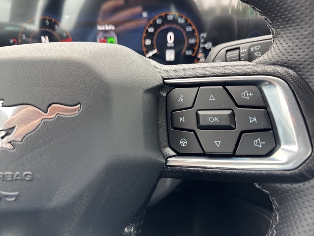 2025 Ford Mustang GT Premium photo 15