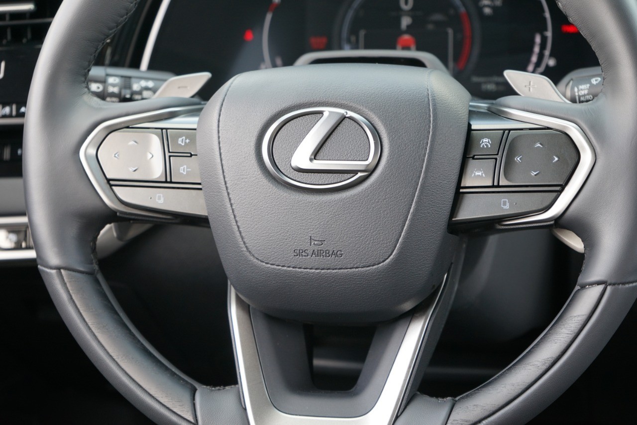 2024 Lexus RX 350 Luxury photo 27