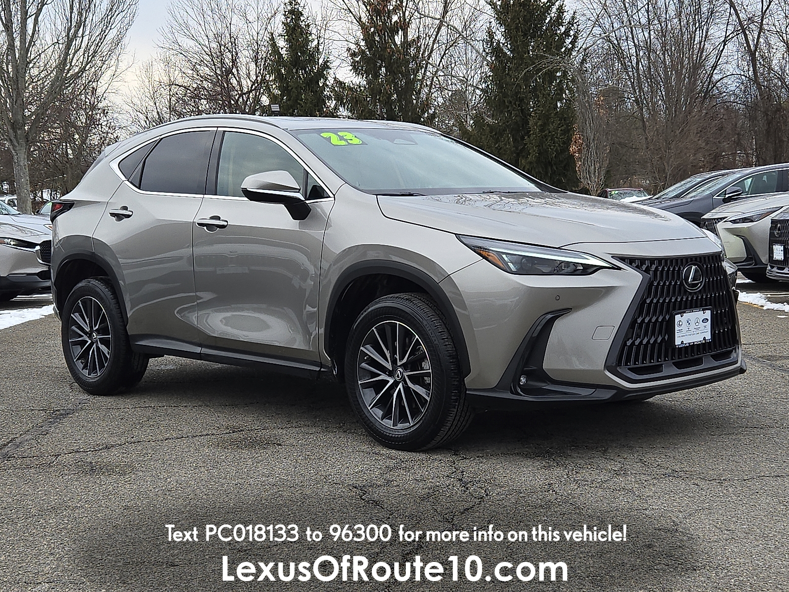 2023 Lexus NX 350's photo