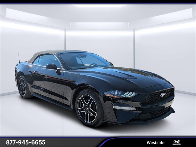 2023 Ford Mustang EcoBoost Premium's photo