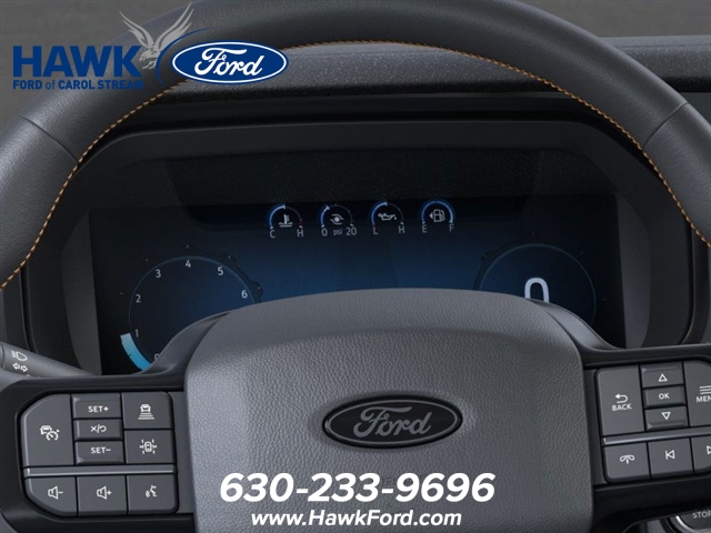 2025 FORD F-150 - Image 13