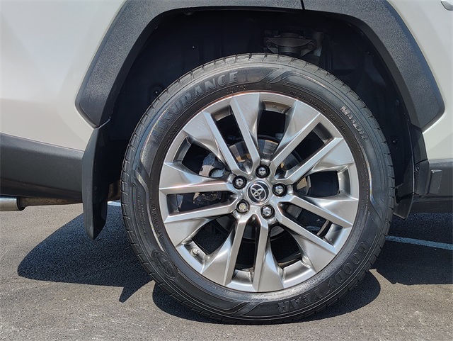 2019 Toyota RAV4 Limited photo 5
